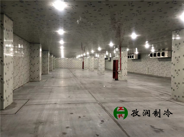 六安中药冷库建造工程-九信中药冷藏冷库建设 