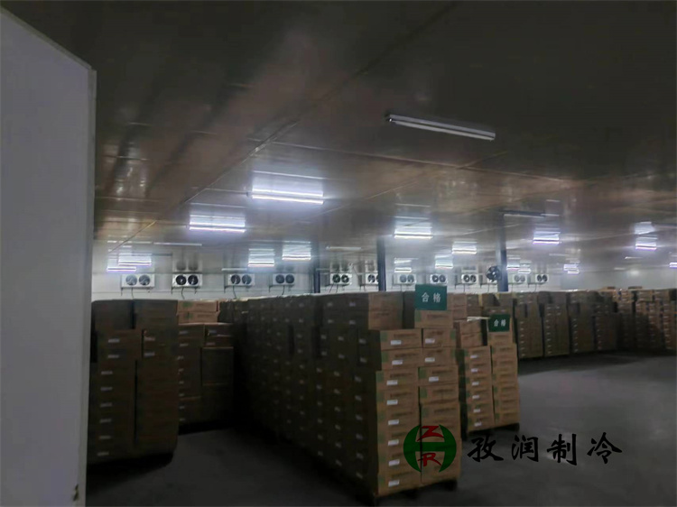 药品冷库需要定期维护吗？ 